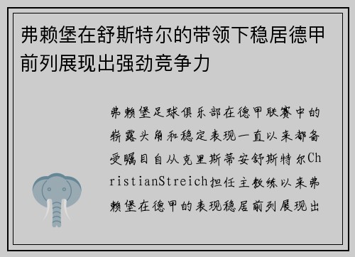 弗赖堡在舒斯特尔的带领下稳居德甲前列展现出强劲竞争力